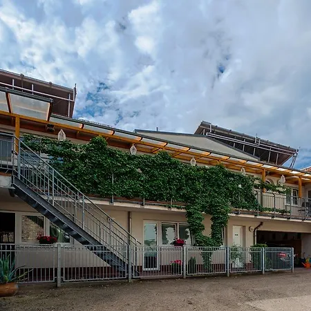 Guest house Hotel-pension Lender